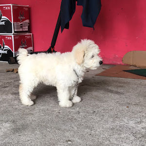 Meet your Posher, Karina